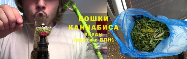 дмт Лиски