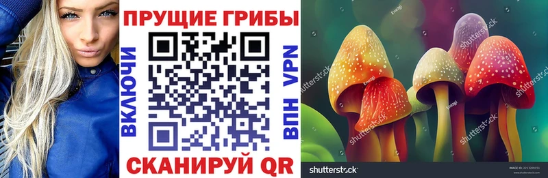 kraken как войти  Владивосток  Псилоцибиновые грибы Magic Shrooms  где найти наркотики 