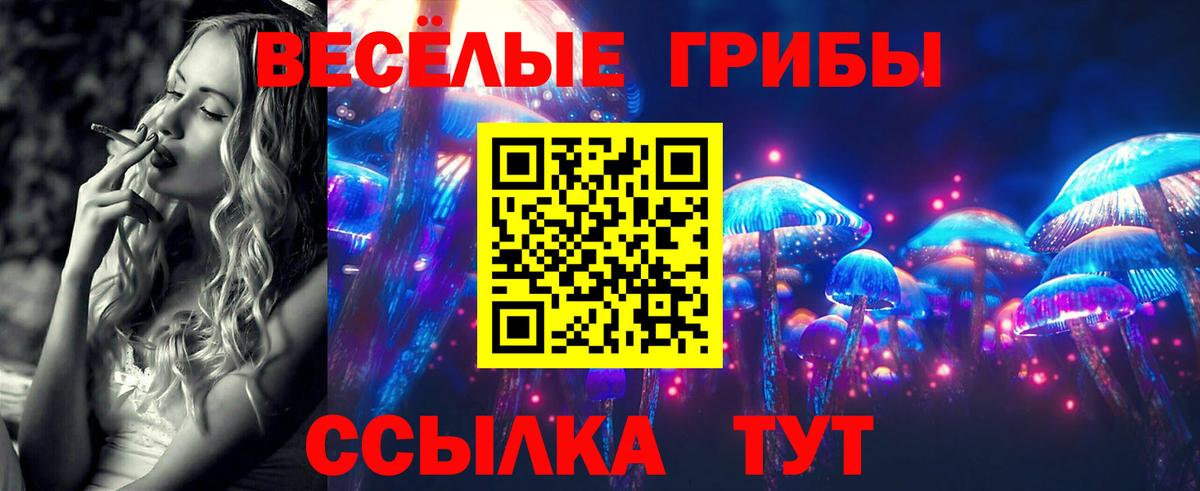 Галлюциногенные грибы Magic Shrooms  Галлюциногенные грибы GOLDEN TEACHER  Вход с VPN  Владивосток 